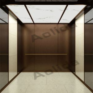 קו שיער חום פלדת על חלד מעלית נוסעים